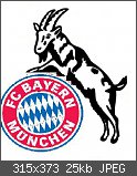 1. FC Köln Bild