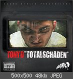 Tony D - Totalschaden