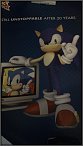 Eure Sonic-Sammlung?