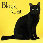 Avatar von black_cat