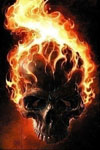Avatar von Burning Skull