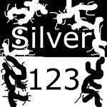 Avatar von Silver123