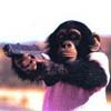 Avatar von Affe mit der Waffe